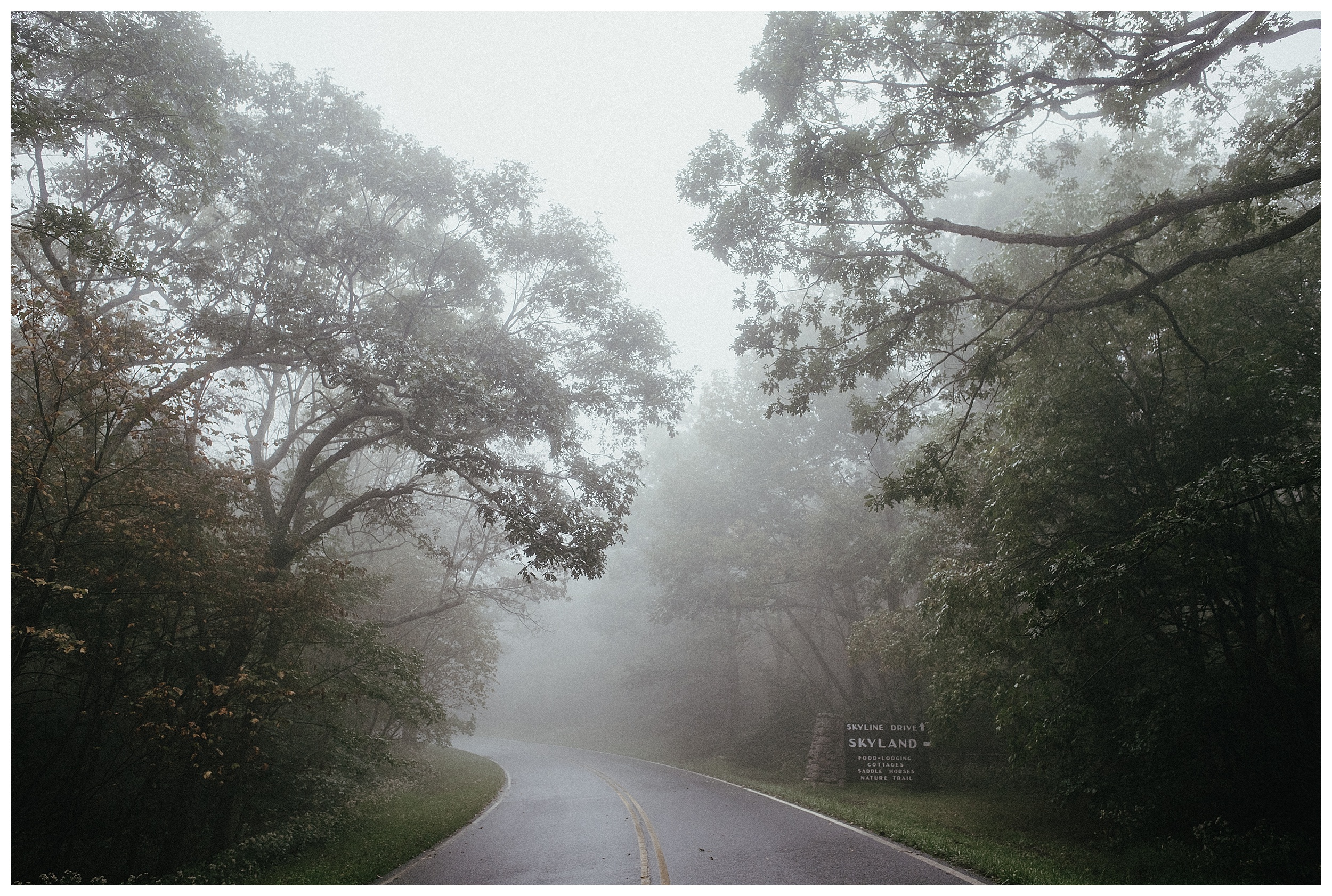 DC-VIRGINIA-WEDDING-PHOTOGRAPHER-SHENANDOAH-NATIONAL-PARK-SKYLAND-ELOPEMENT_0079.jpg