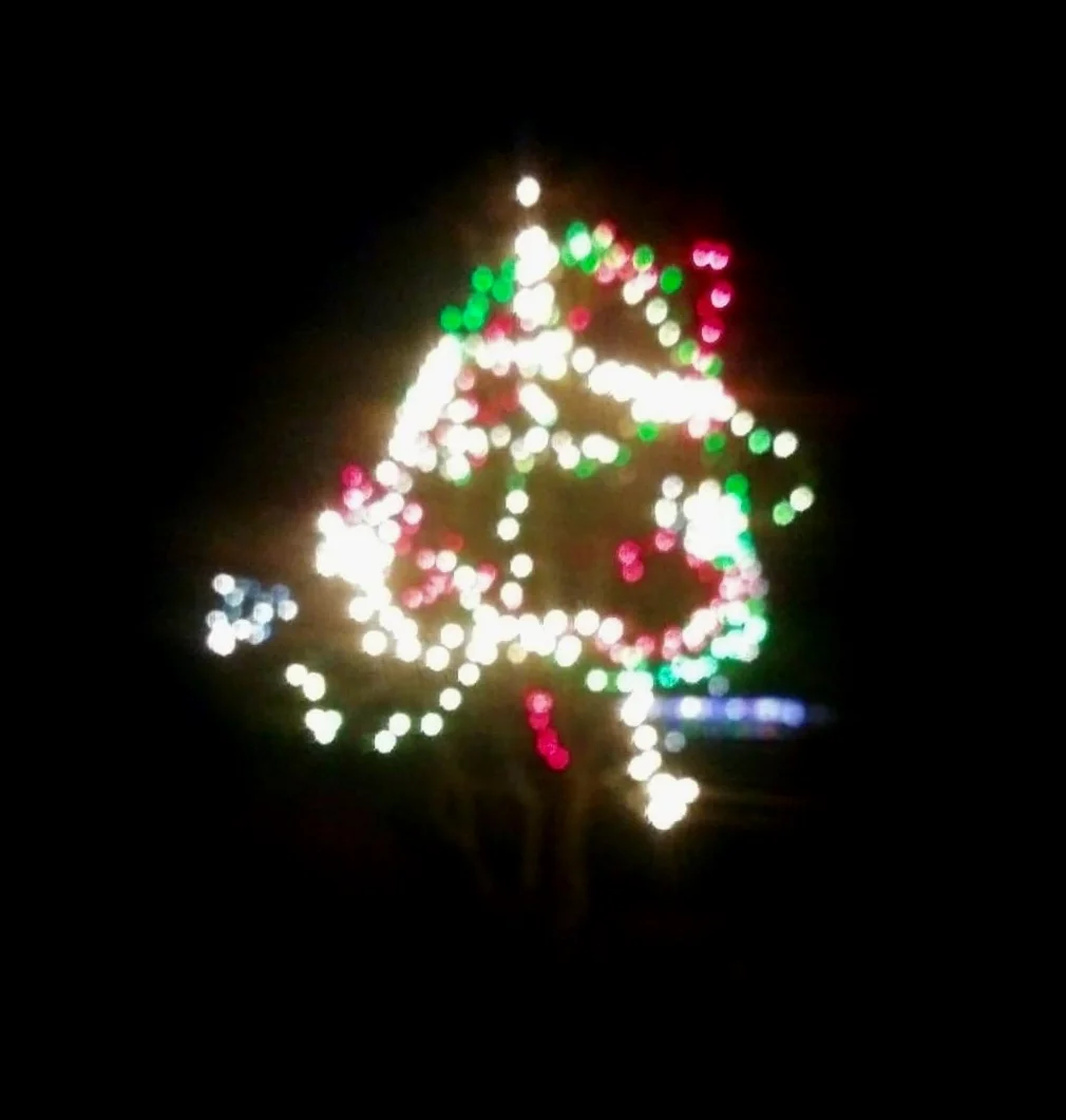 treelights.jpg