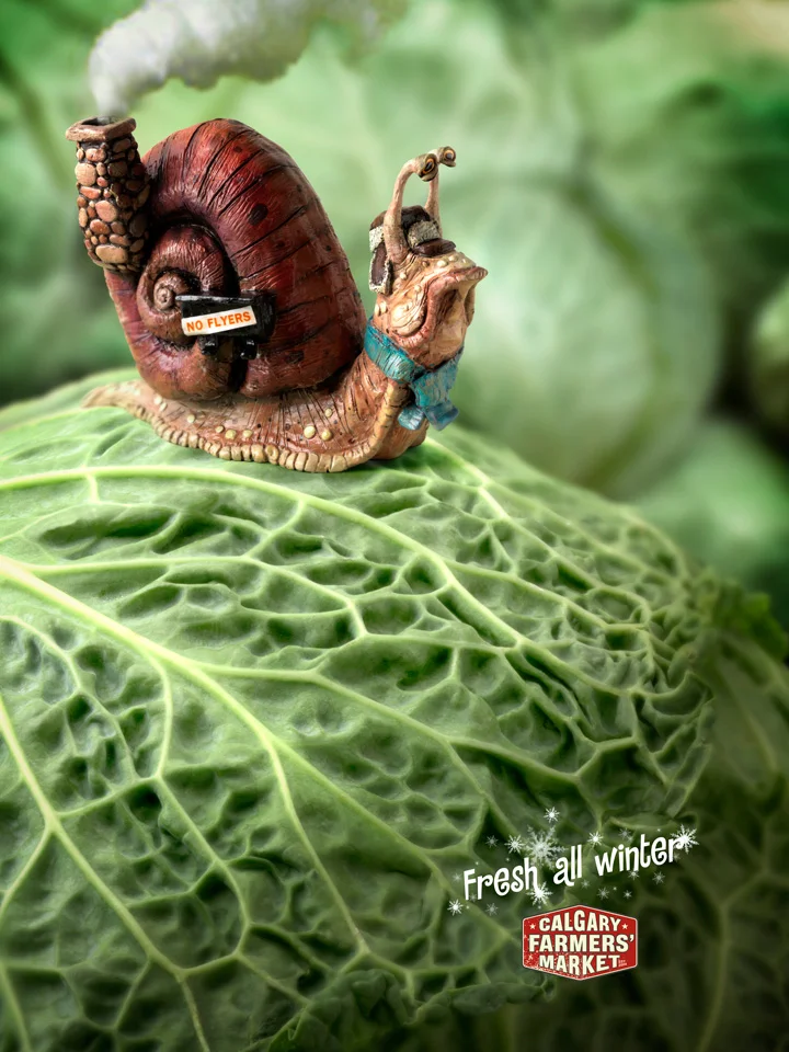 calgary-farmers-market-eggplant-cabbage-apple-print-137950-adeevee.jpg