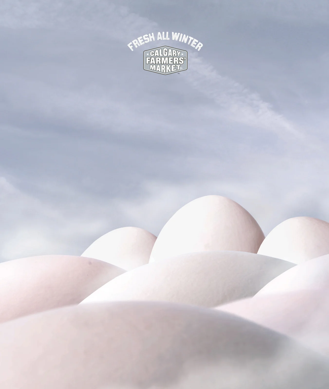 calgary-farmers-market-eggs-mushrooms-cheese-parsnips-print-137930-adeevee.jpg