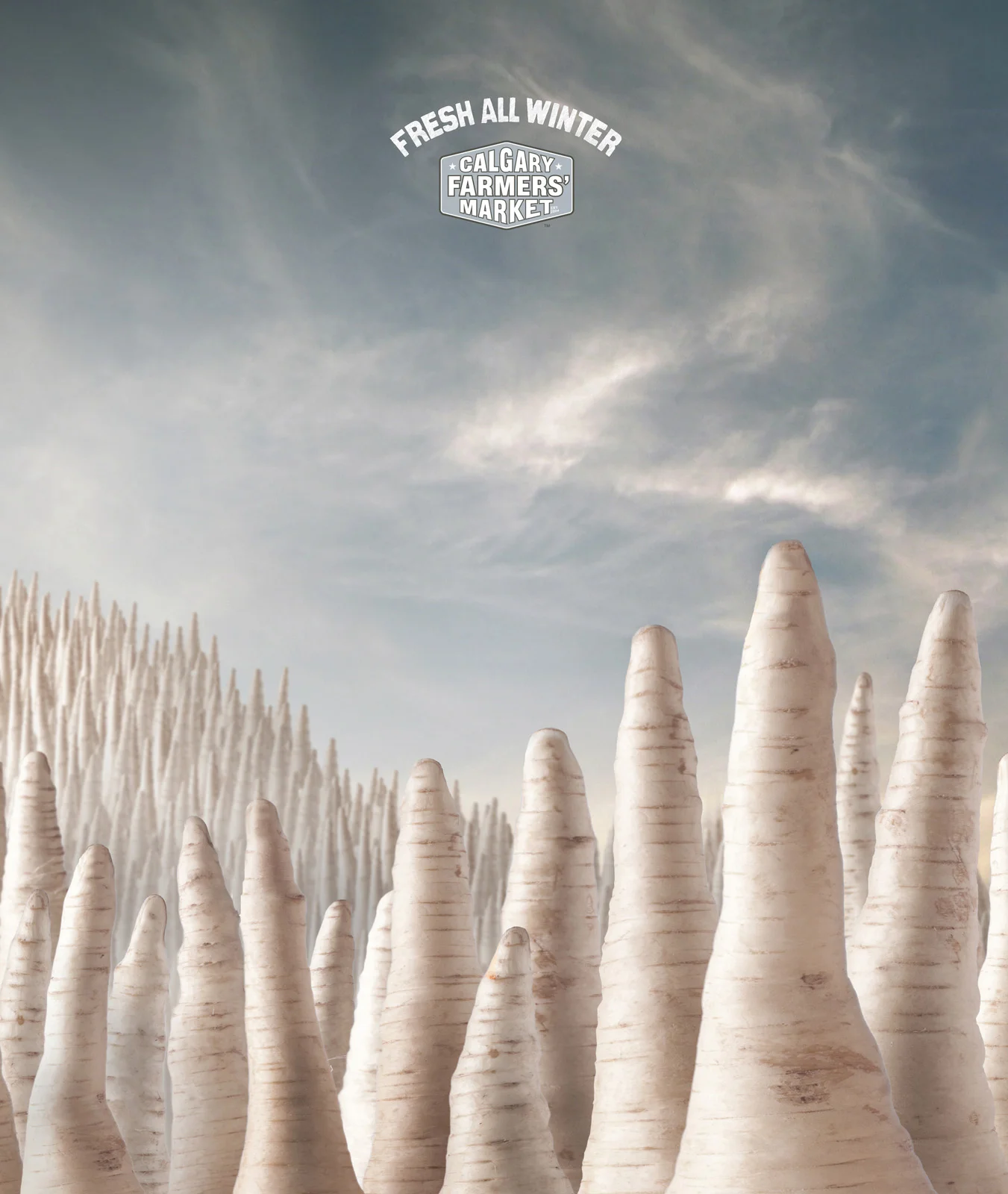 calgary-farmers-market-eggs-mushrooms-cheese-parsnips-print-137933-adeevee.jpg