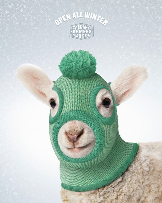 Screen Shot 2018-02-18 at 08.42.45.png