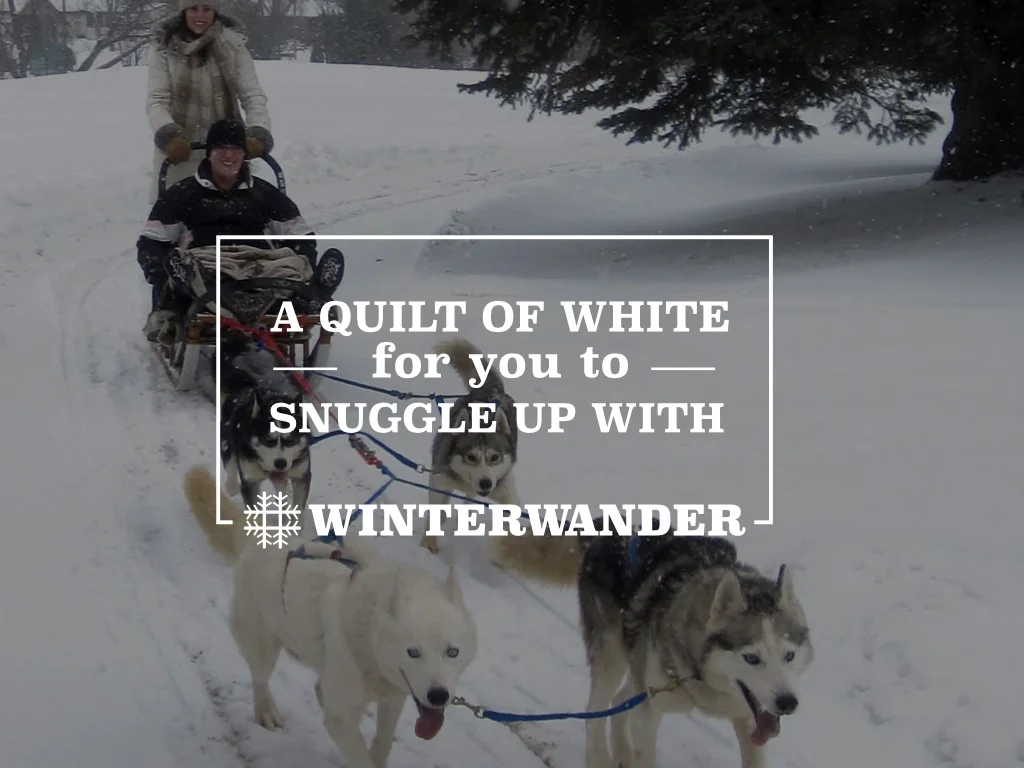 Ontario Highlands WinterWander.008.jpeg