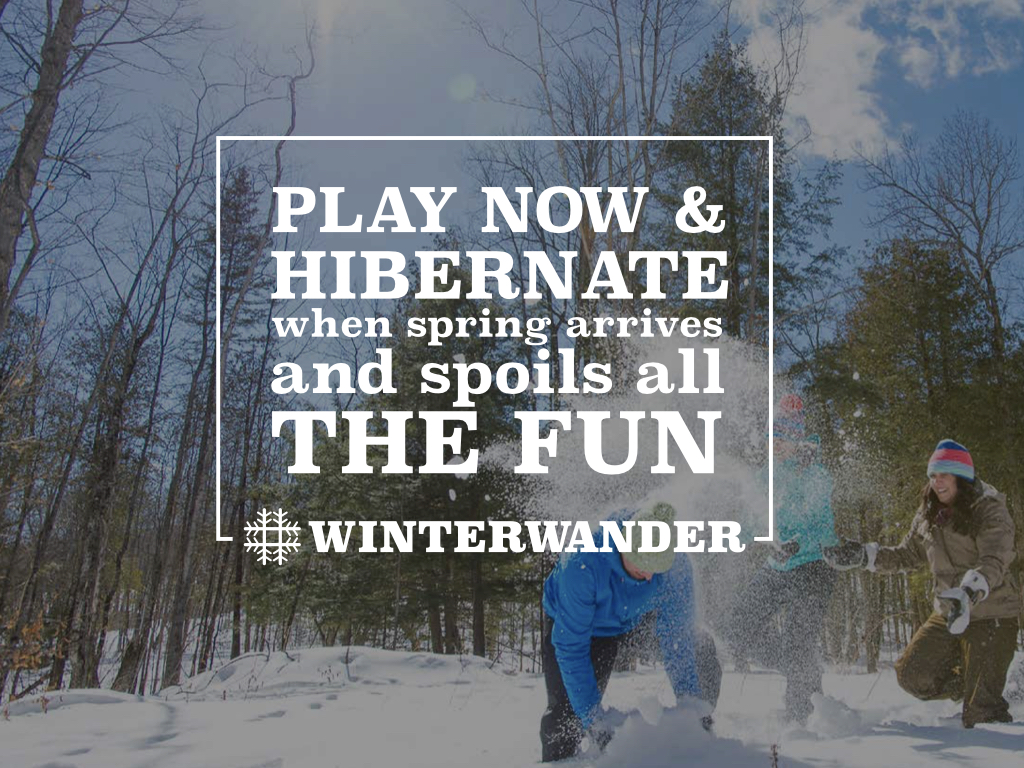 Ontario Highlands WinterWander.002.jpeg