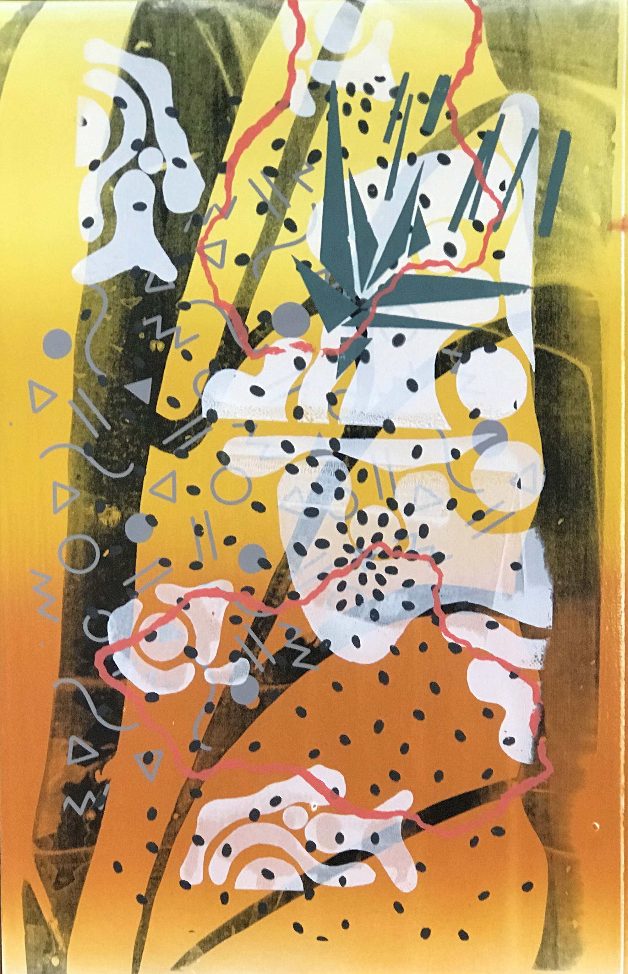 Monarch 5