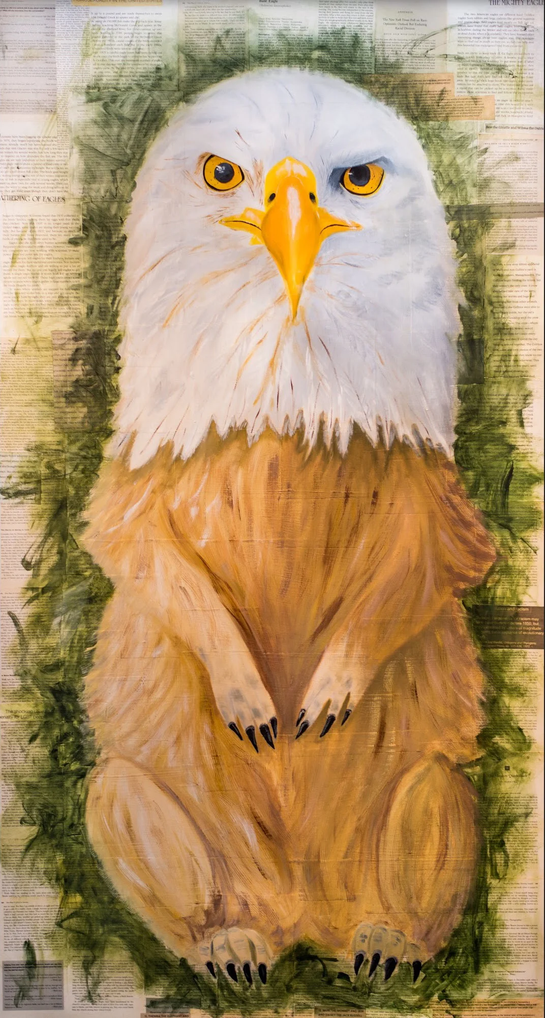 Haliaeetus leucocephalus Cynomys