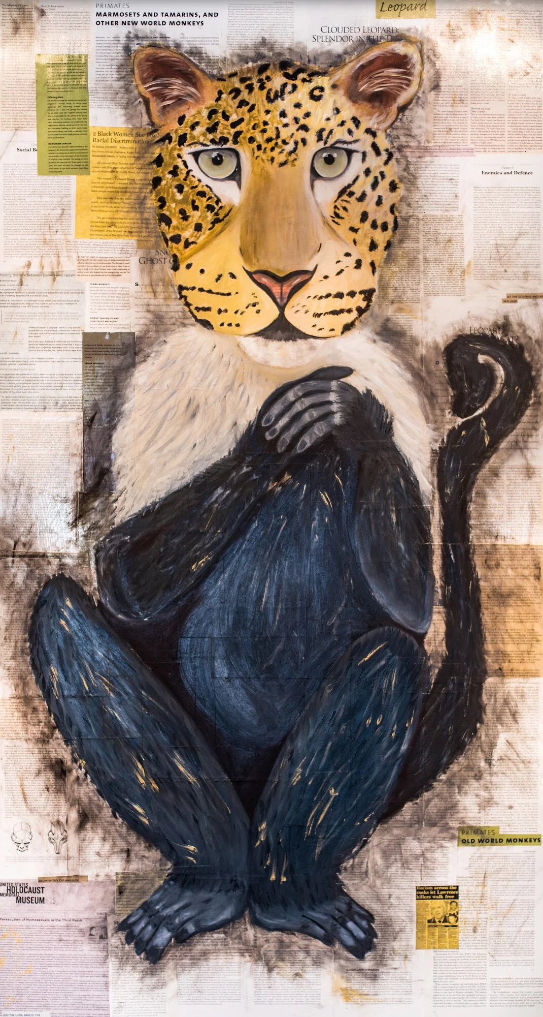  Panthera pardus Cercopithecidae