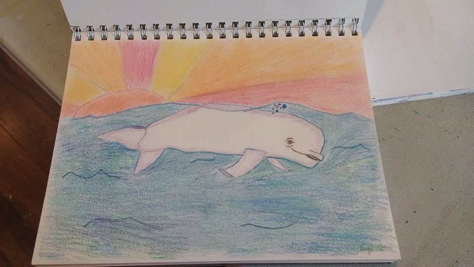 beluga drawing.jpg