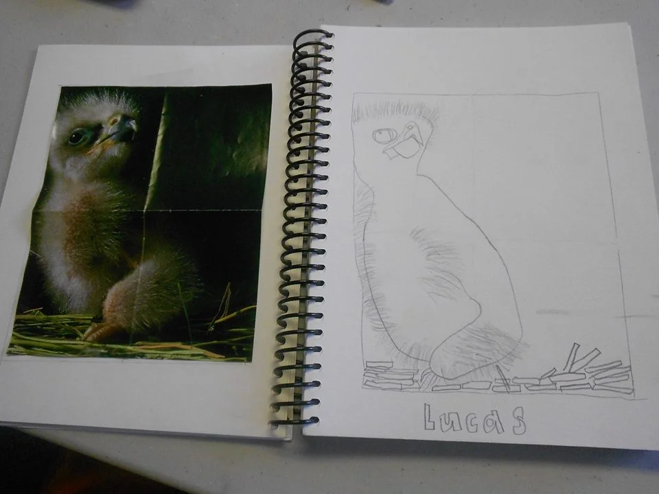 baby bird drawing.jpg