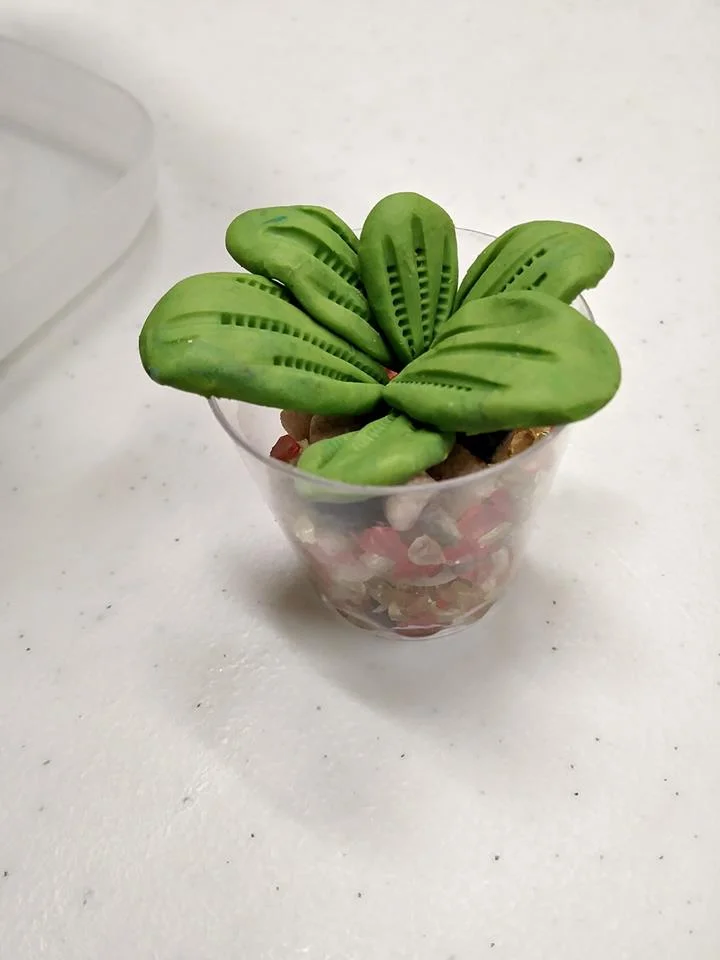 art with excep succulent.jpg