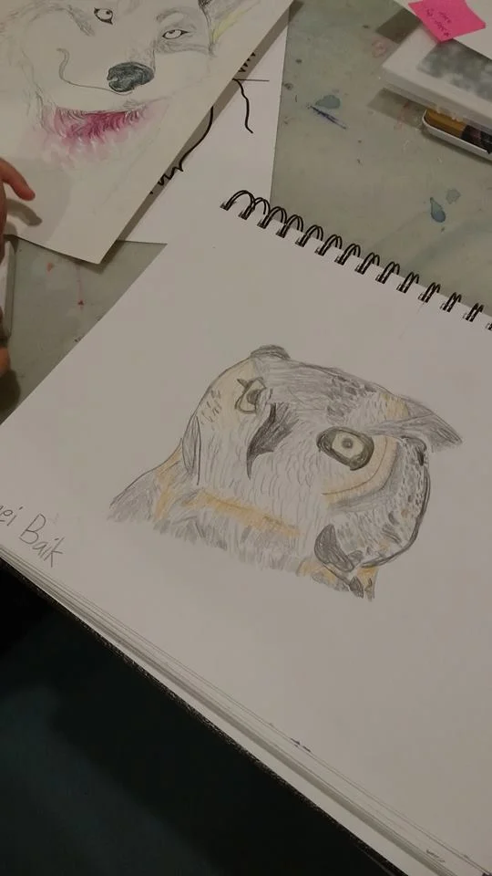 owl and wolf drawings detailed.jpg