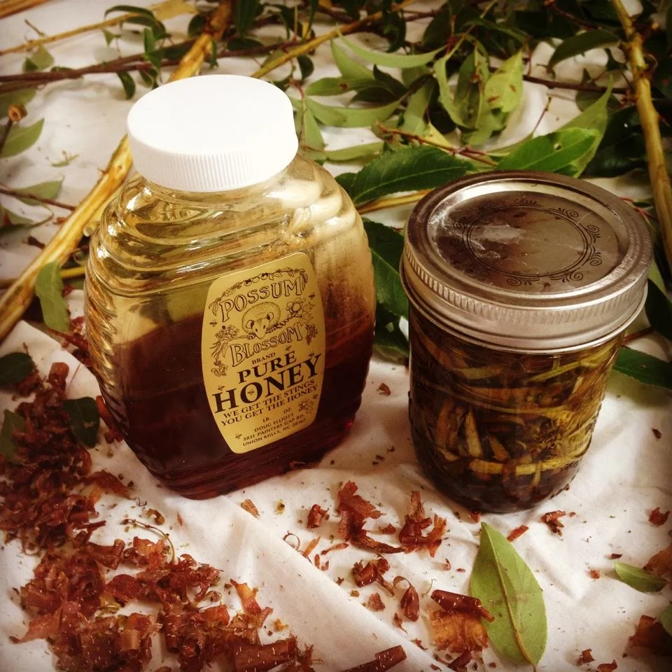 Wildcrafting Classes