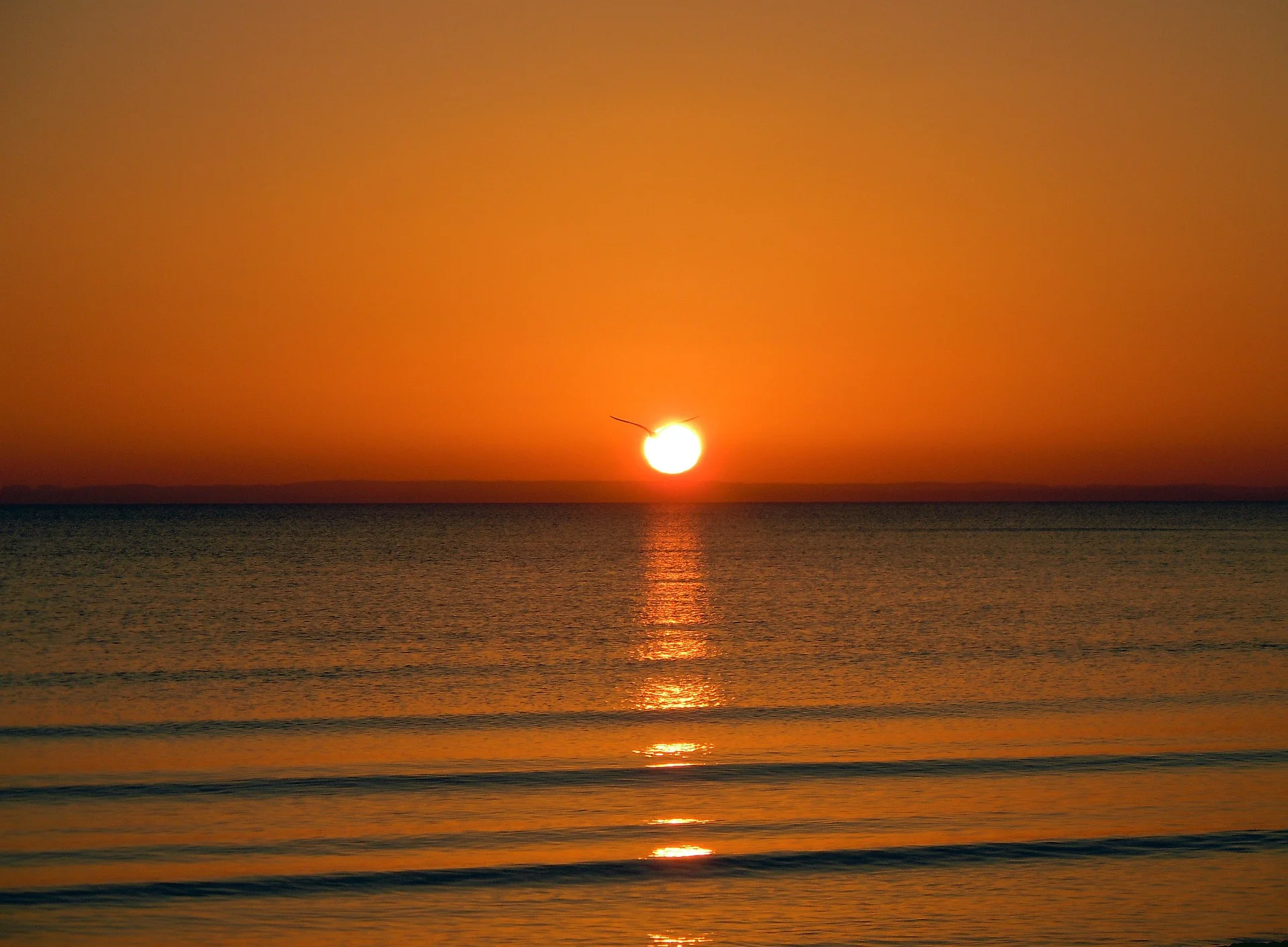 sunrise-on-the-sea-275274_1920.jpg