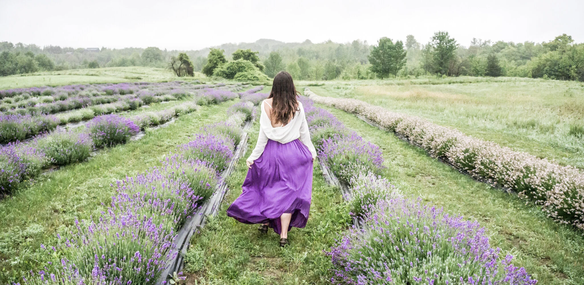 Purple Ranch Magical Day at Purple Hill Lavender Farm β Martina Daskalova