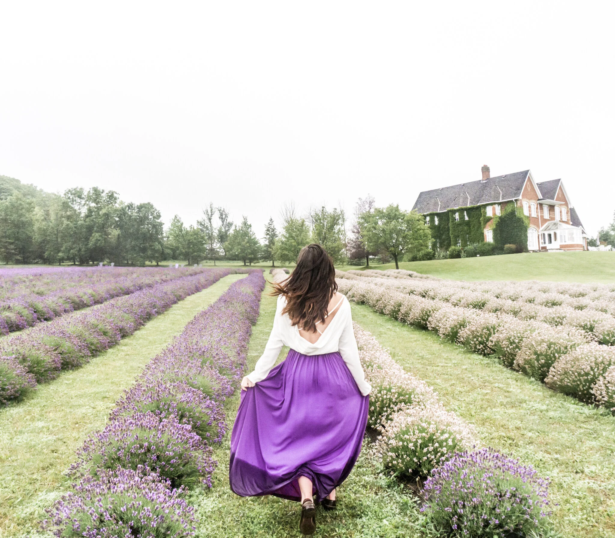 Purple Ranch Magical Day at Purple Hill Lavender Farm β Martina Daskalova