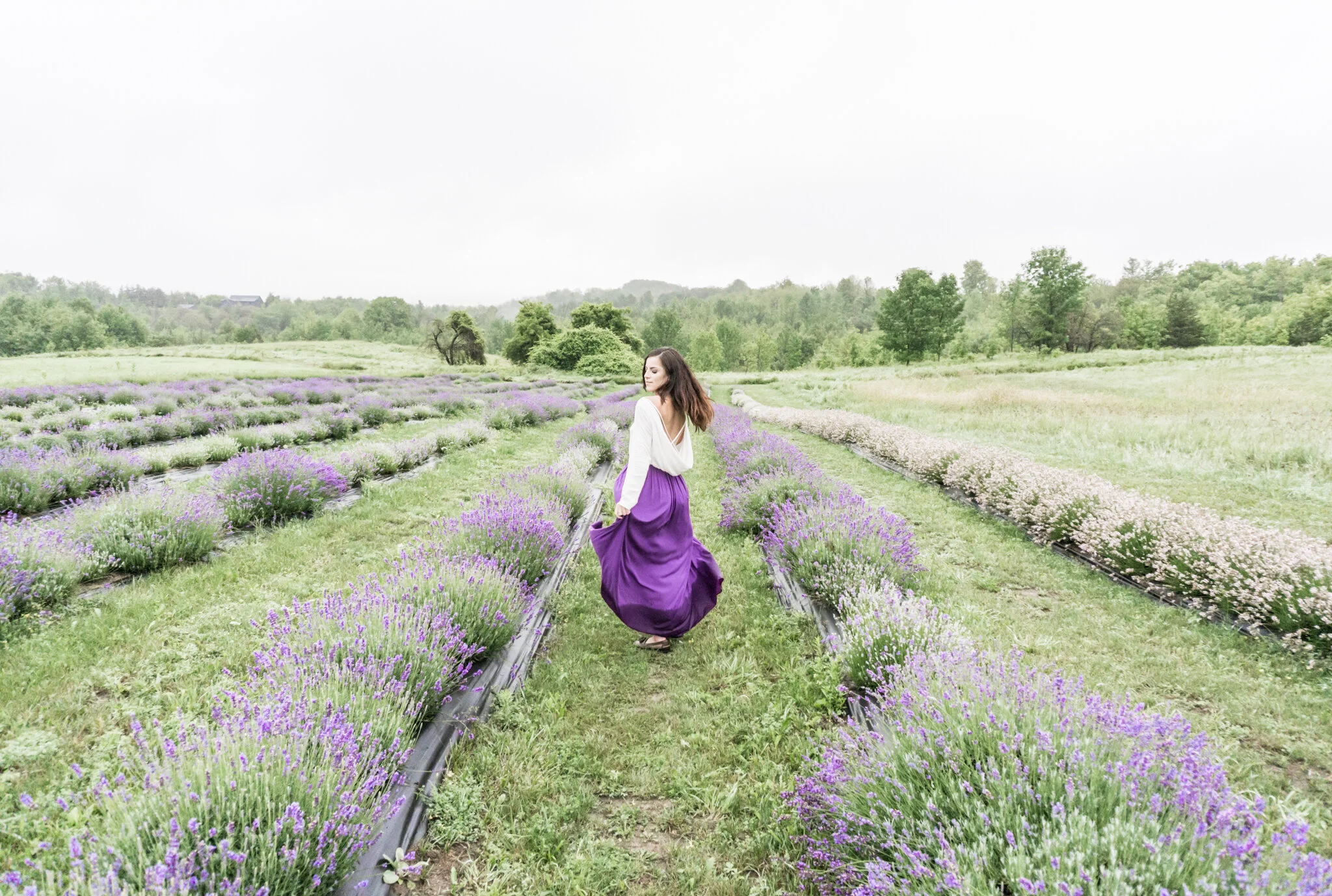 Purple Ranch Magical Day at Purple Hill Lavender Farm β Martina Daskalova
