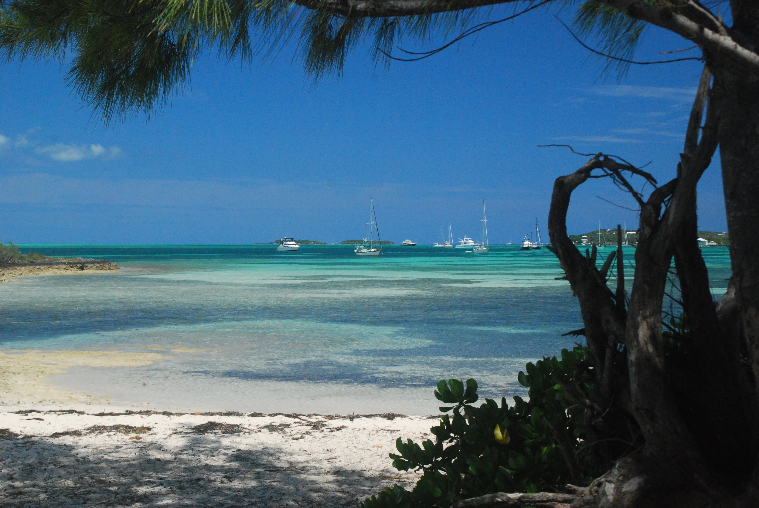 DSC_0178.JPG