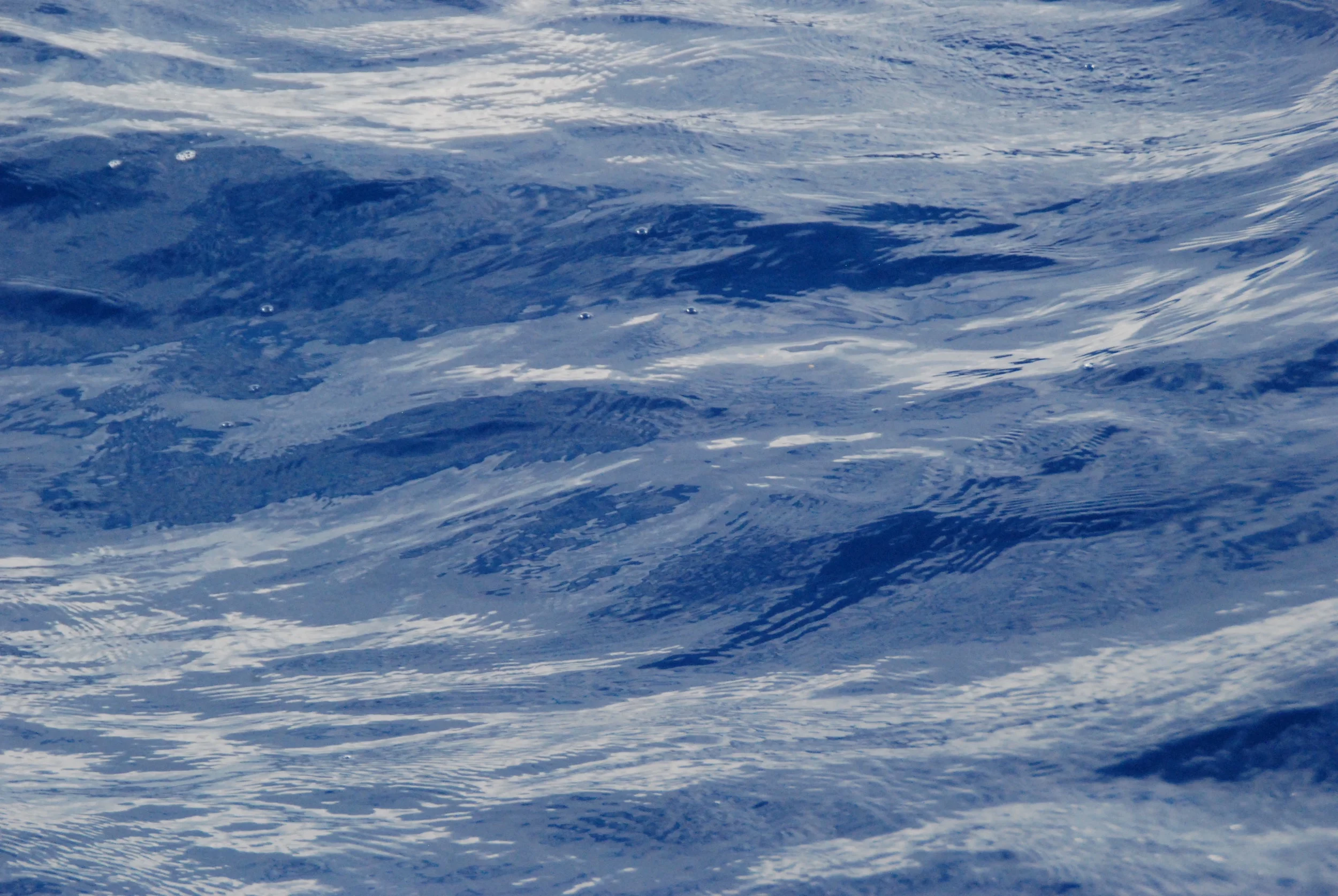 DSC_0151.jpg