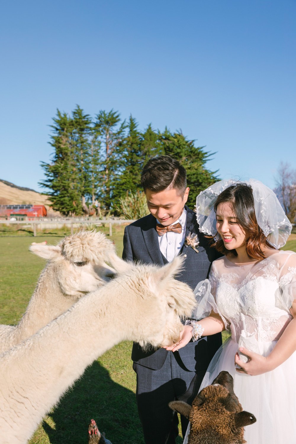 pre+wedding+elopement+photographer+Panda+Bay+Films+queenstown+wanaka+glenorchy+yaoyao-16.jpeg