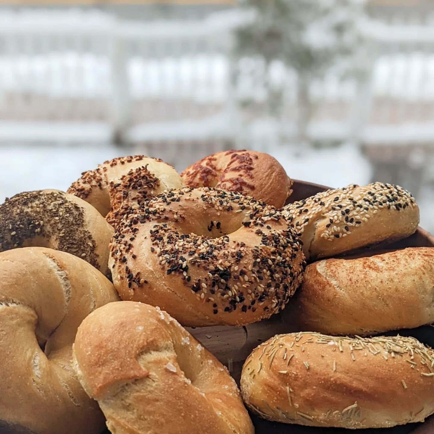 The gang's all here! 🥯🥯🥯
#handrolledbagels #harvardsquare #cambridgeport