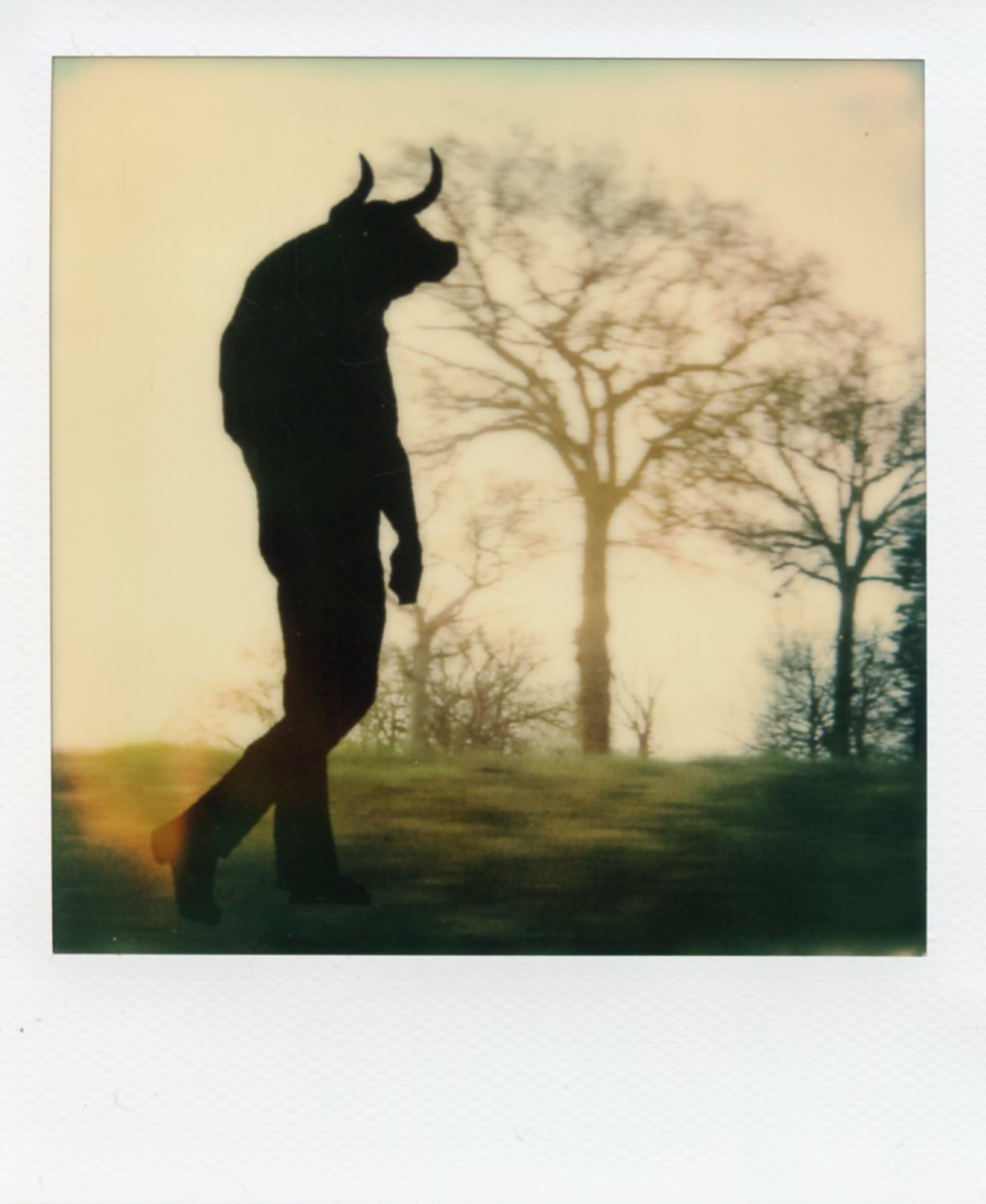 The Daimon Chroniles - RoundAbout - Bull - Alan Marcheselli.jpg
