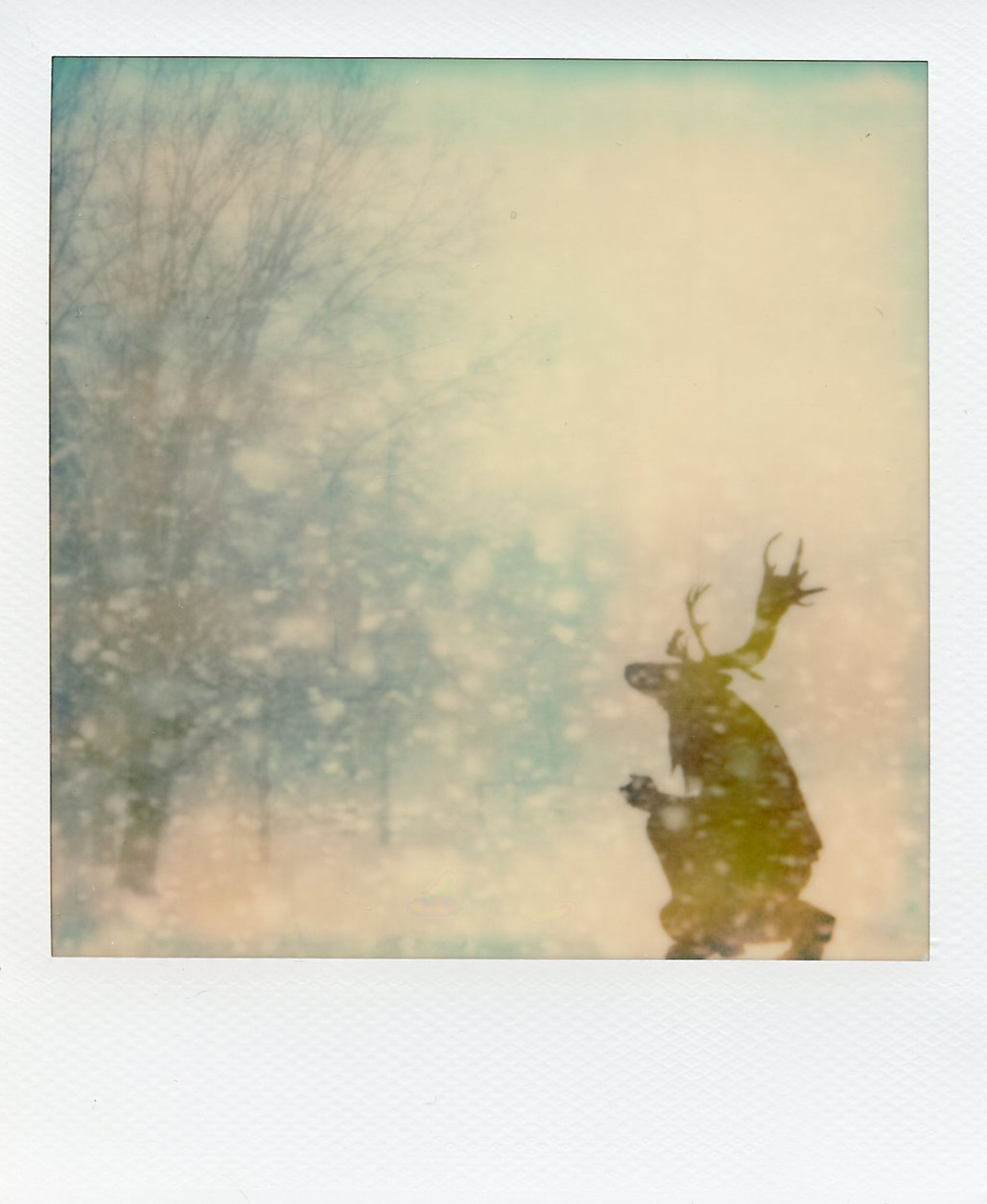 The Daimon Chroniles - Snowfall - Elk - Alan Marcheselli.jpg