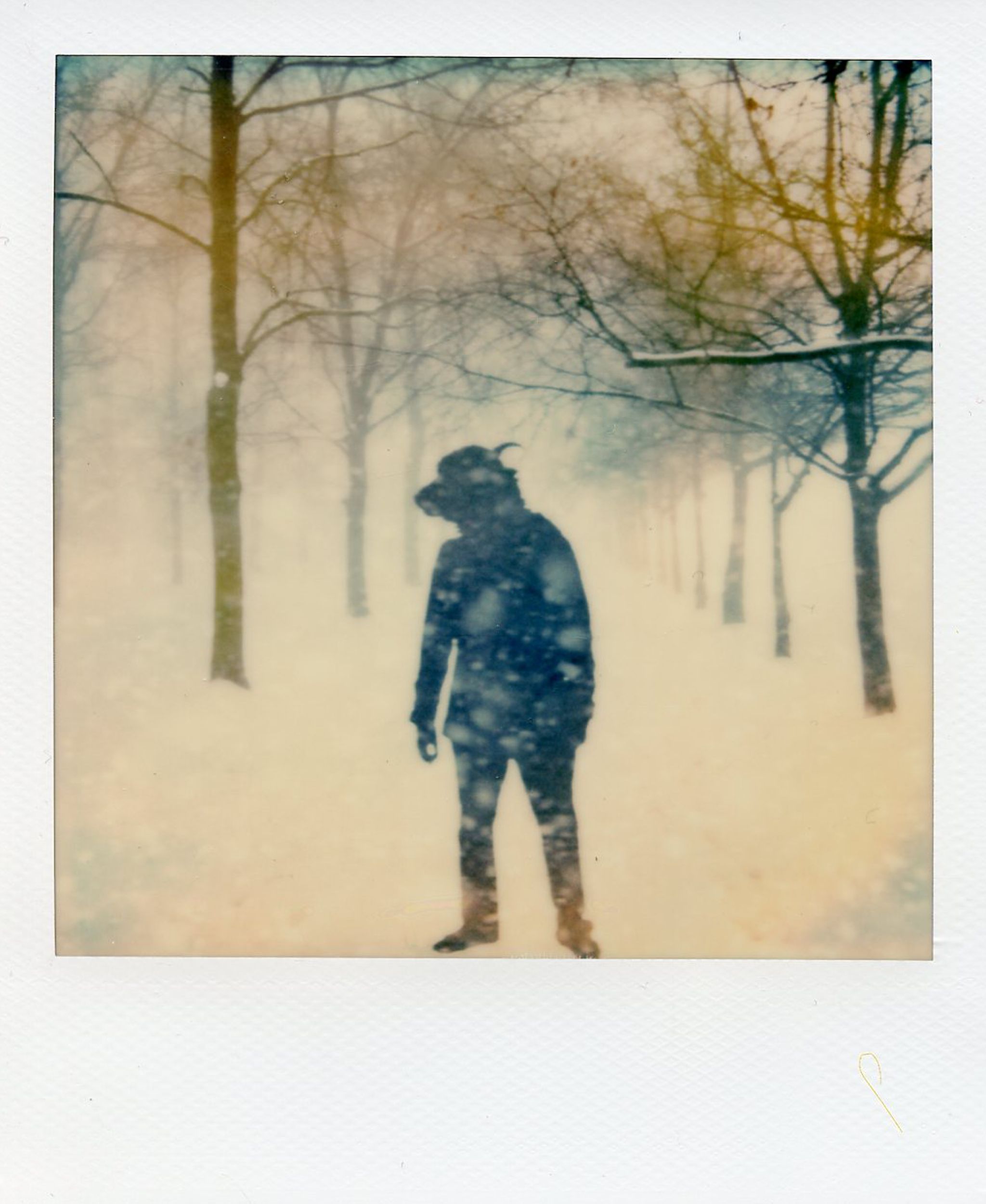 The Daimon Chroniles - Snowfall - Yak - Alan Marcheselli.jpg