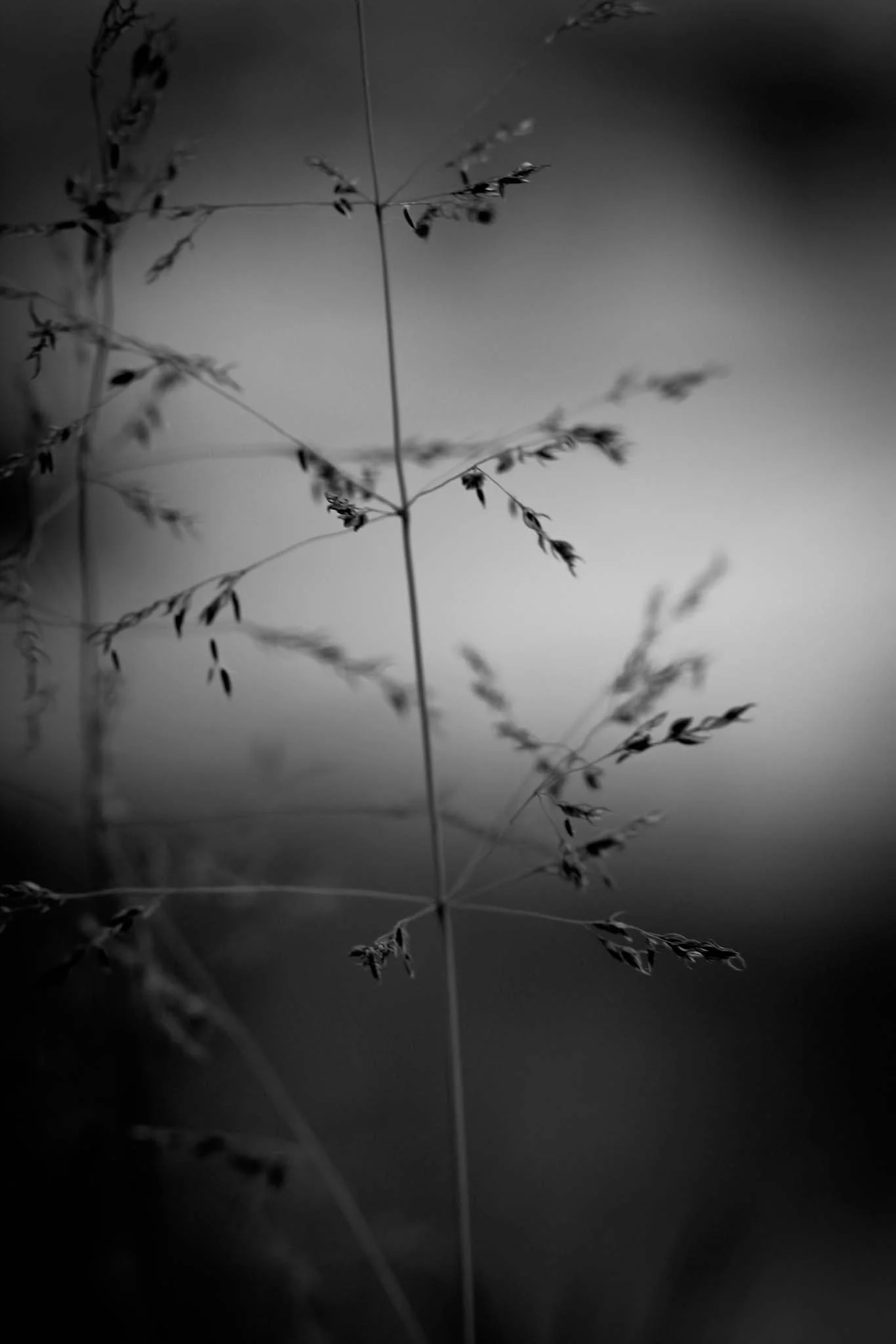 ello-optimized-3021abb4.jpg