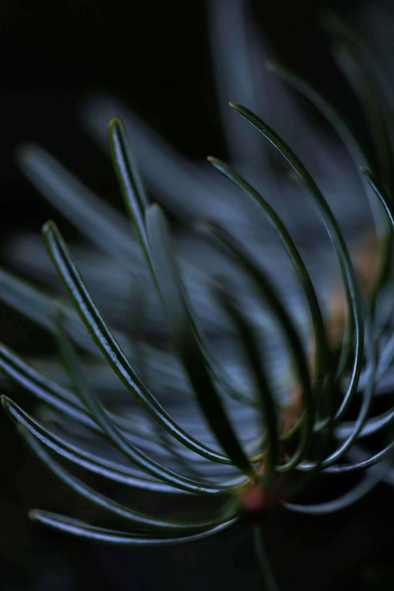 ello-optimized-c76e2797.jpg