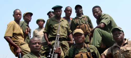 The Ultimate Price to Protect Africa's Wildlife