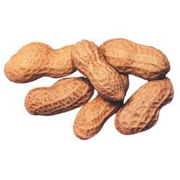 ELEPHANTS AND PEANUTS