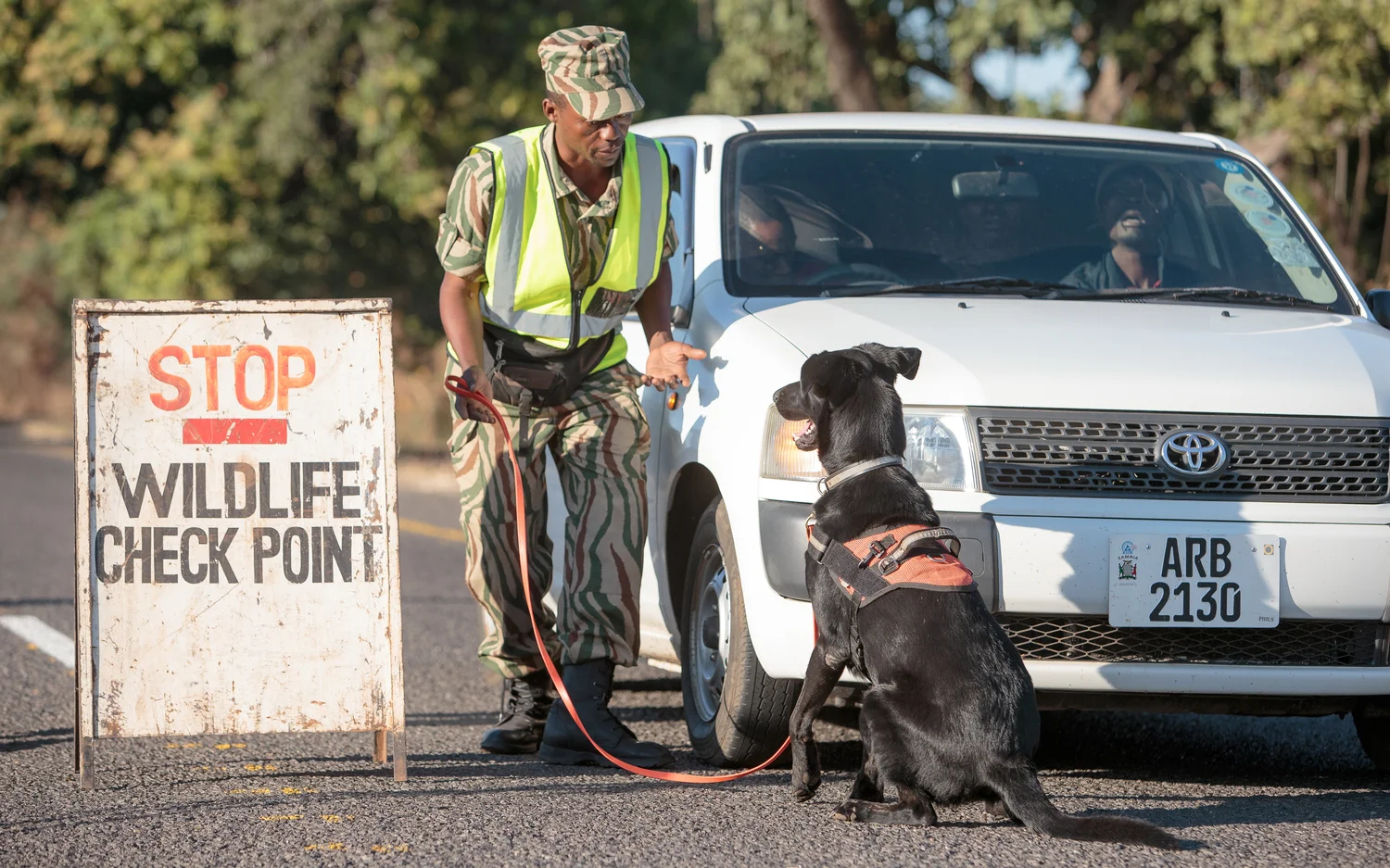 Wildlife-checkpoint.jpg