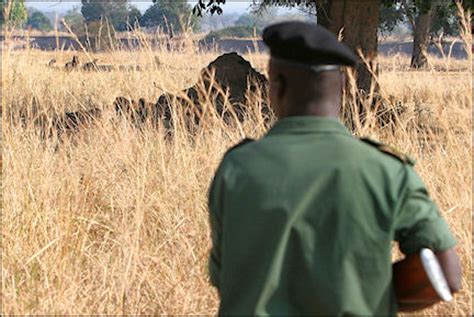 SAFARI.jpg