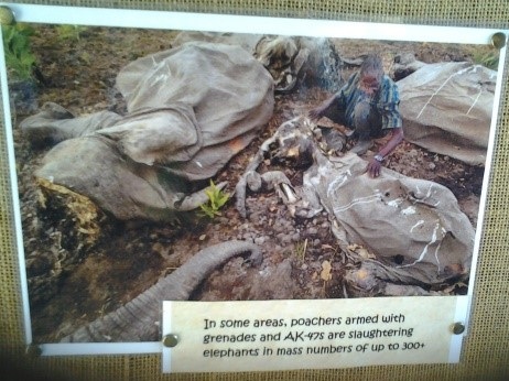 News Update - Botswana