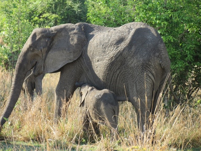 Bipartisan Conservation Bill Signed Into Law! 