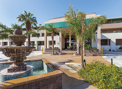 palmsprings.png