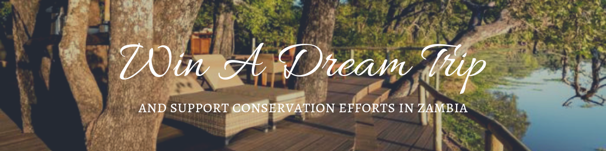 Win A Dream Trip (2).png