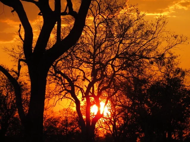 The Sunsets Were Outrageous