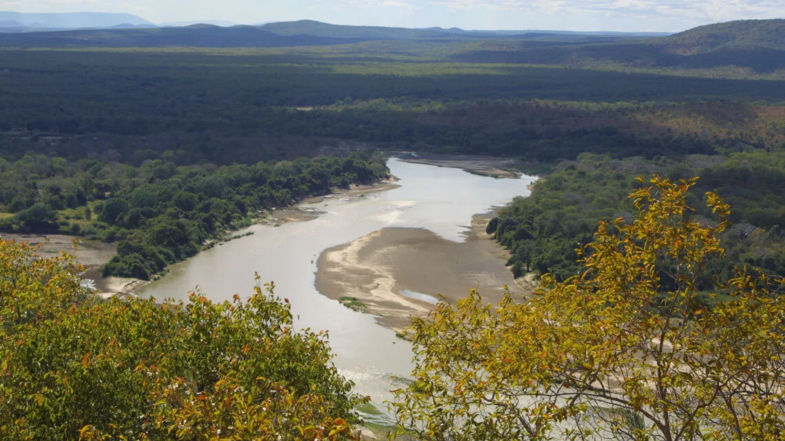 COVID-19 Impacts the Luangwa Valley