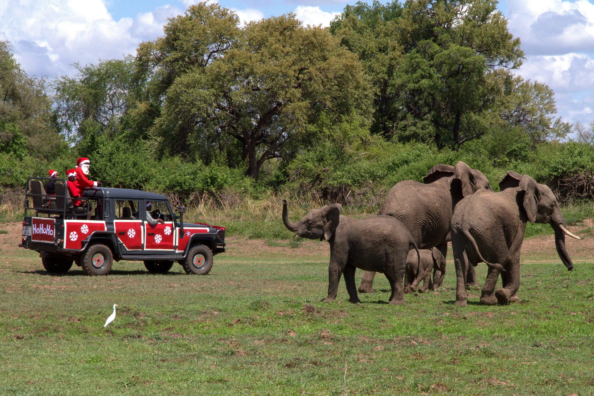 Curious about Christmas in Africa? Celebrate the Season, Zambian Style!
