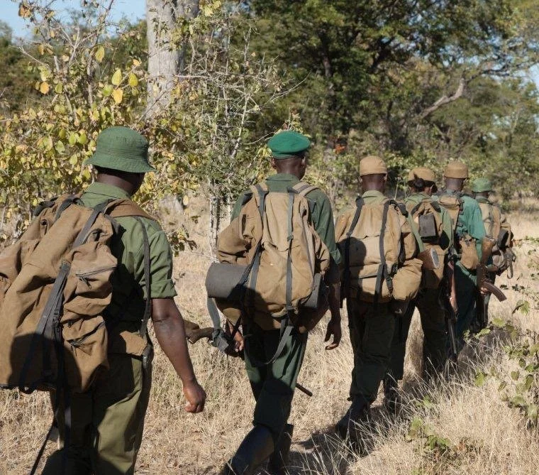 Wonder What A Scout's Life is Like in Zambia? Here's a Look
