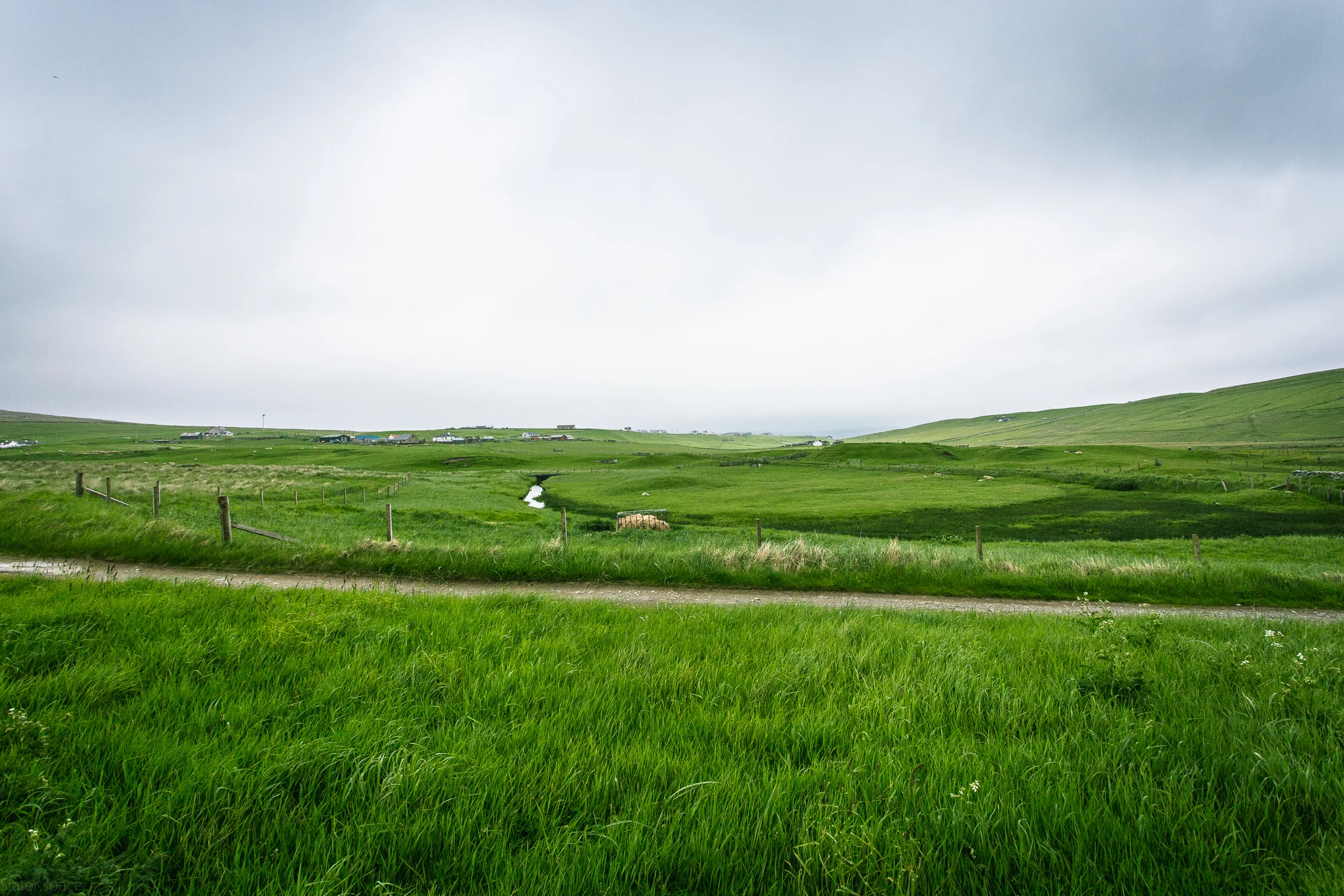 Shetland, (4685)