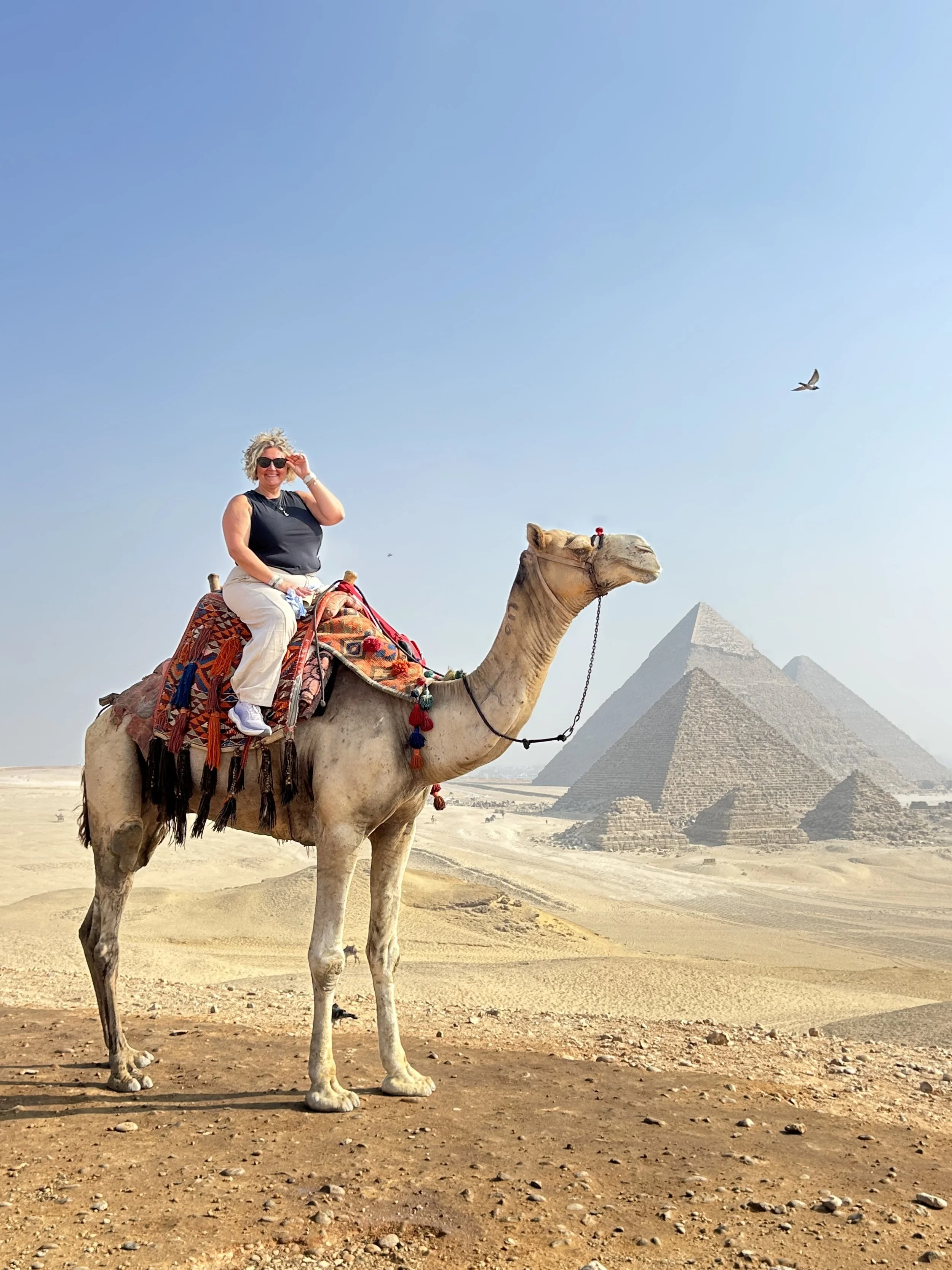 Jess sitting on a camel in front of the Great Pyramids at Giza