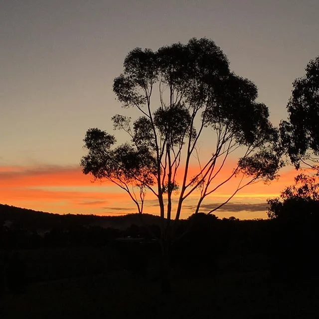 Volunteer on your next trip. You will never regret it ~
.
.
.
#travel #aroundtheworld #adventure #australia #sunset #volunteering #givealilback