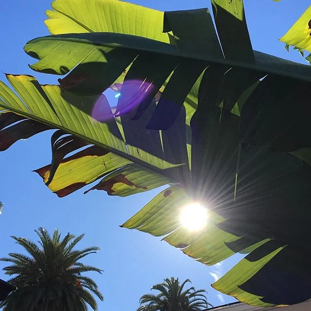 Los Angeles - 2019
.
.
.
#clancy #california #goodlife