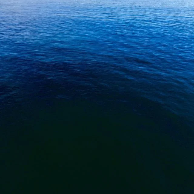 Los Angeles - 2019
.
.
.
#clancy #losangeles #ocean #blue