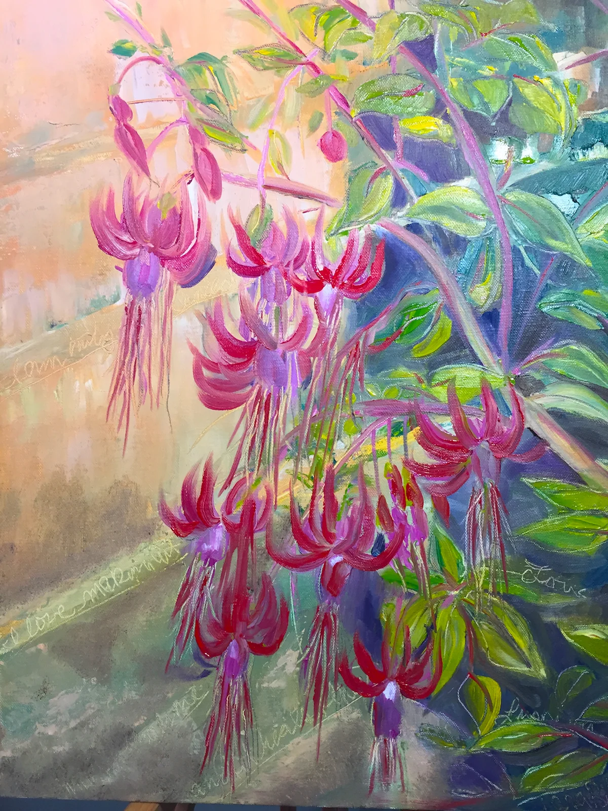 Fuschia