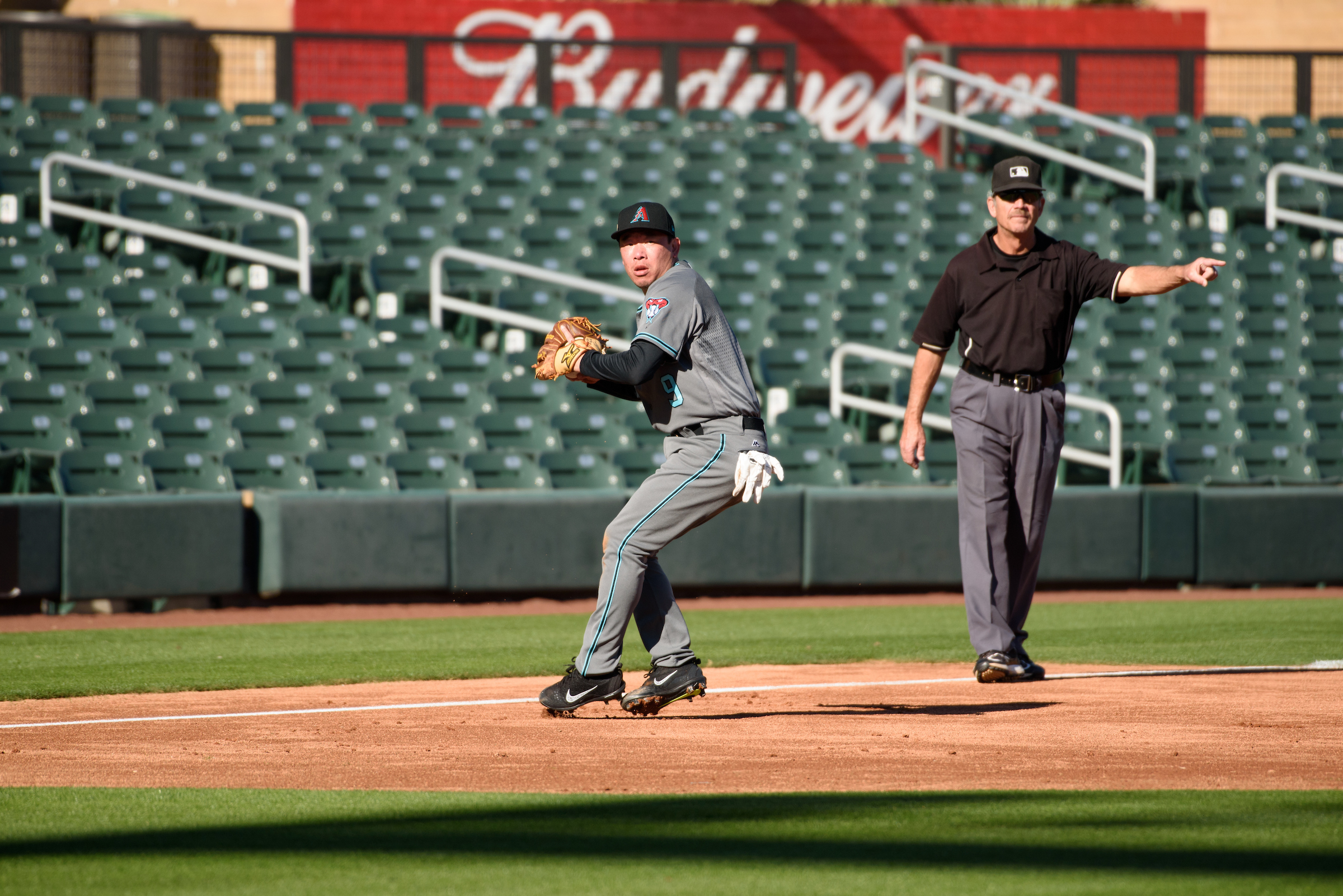 Arizona Diamondbacks Fantasy Camp