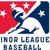 Delays expected in 2021 MiLB season