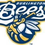 Bees join LumberKings in Prospect League